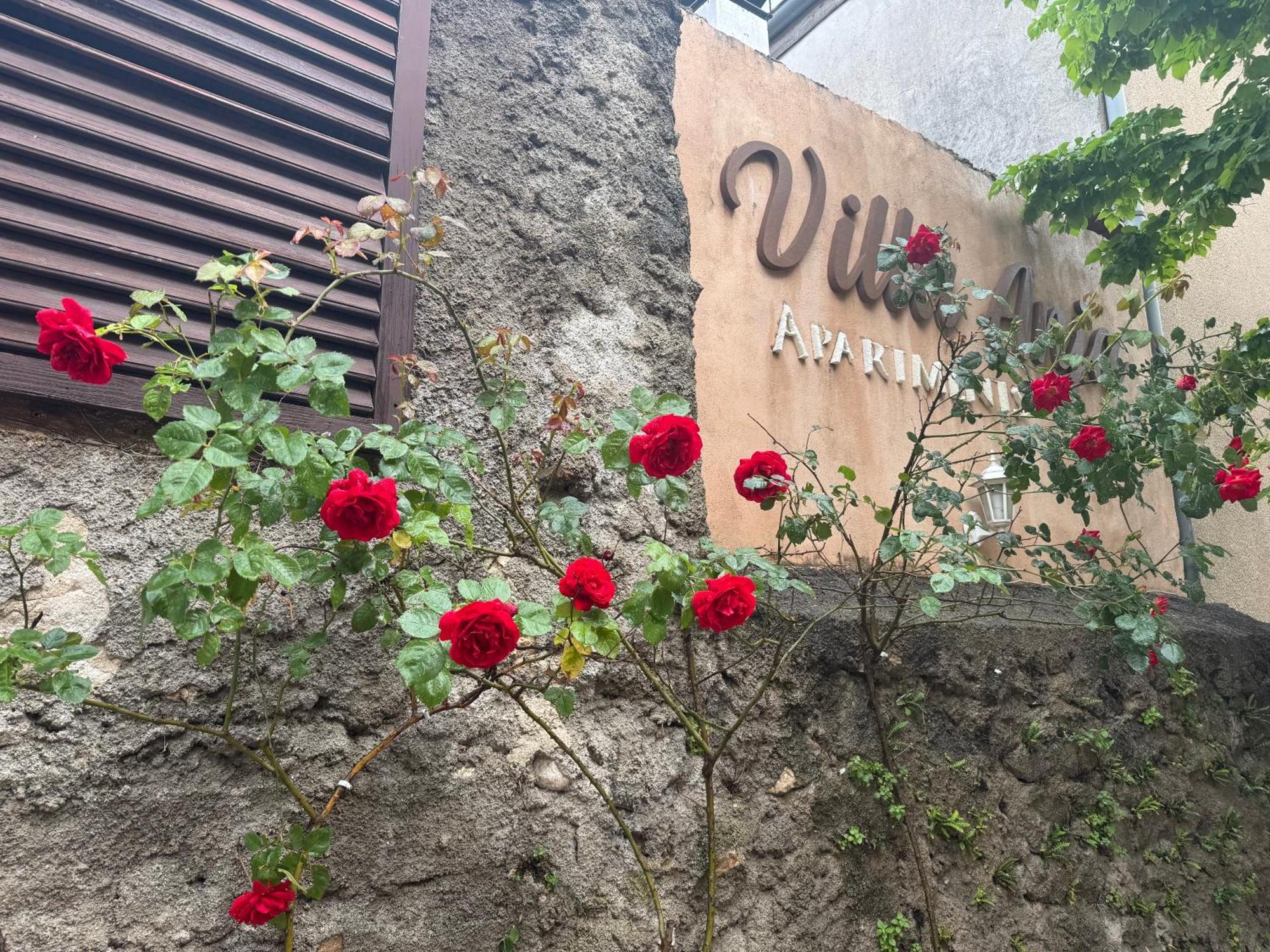 Villa Anja Apartments 莫斯塔尔 外观 照片